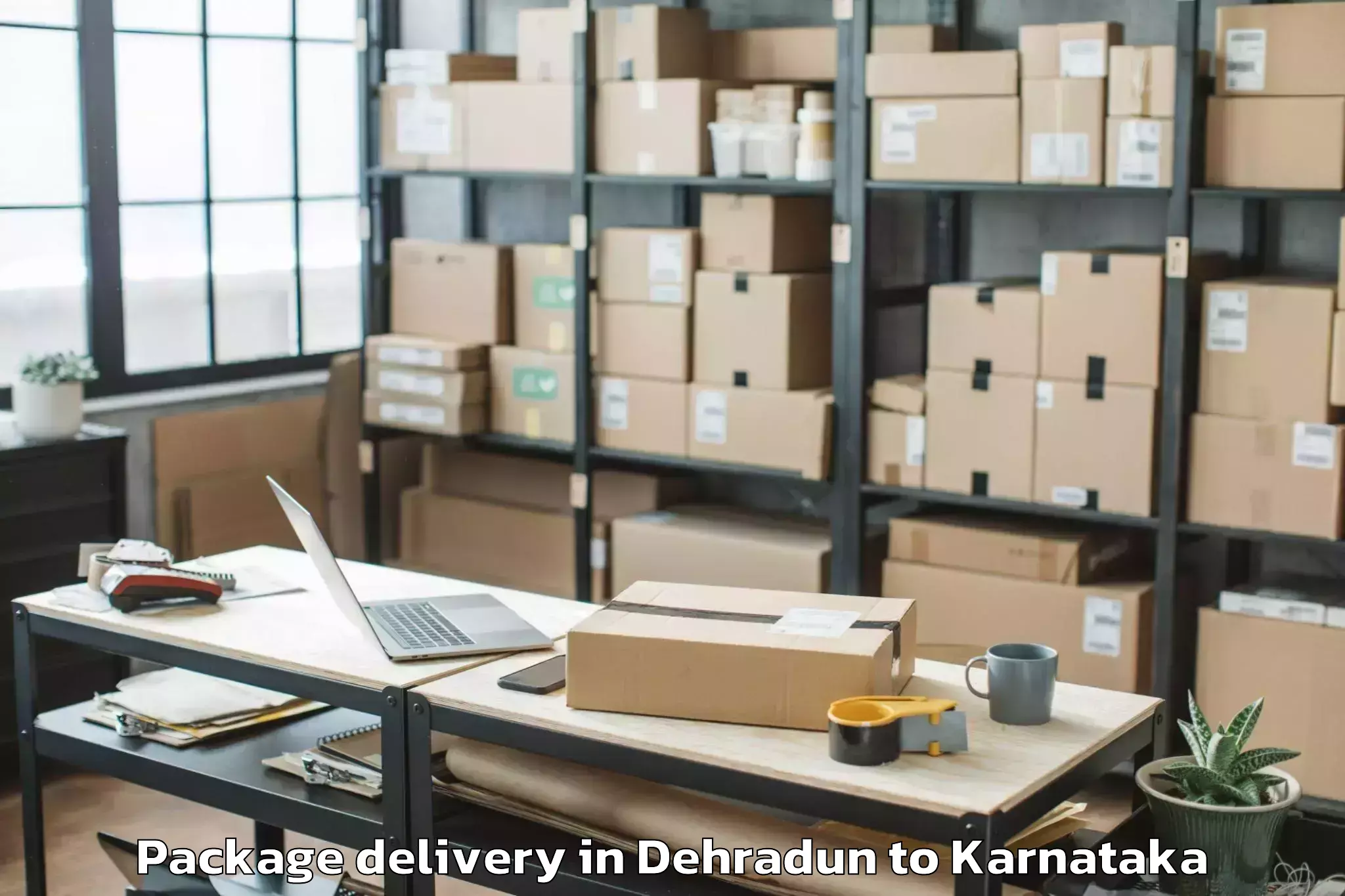 Trusted Dehradun to Tekkalakote Package Delivery